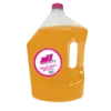 Shampoo Sin Sal Kiwi Fruta