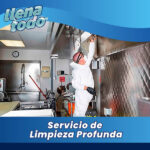 Servicio de Limpieza Profunda «Precio a consultar»